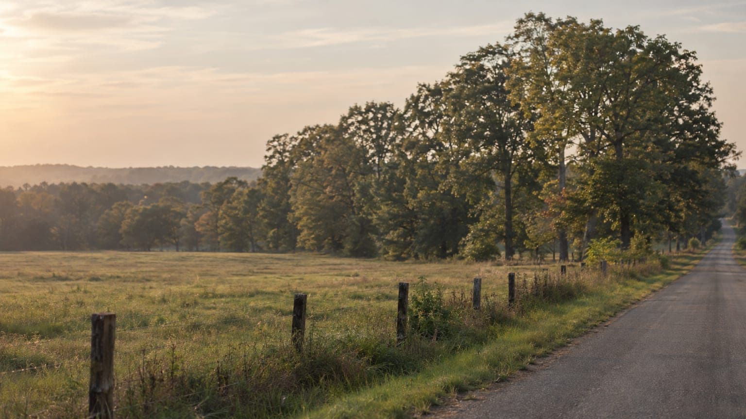 Partition Actions in Louisiana: Dividing Co-Owned Property