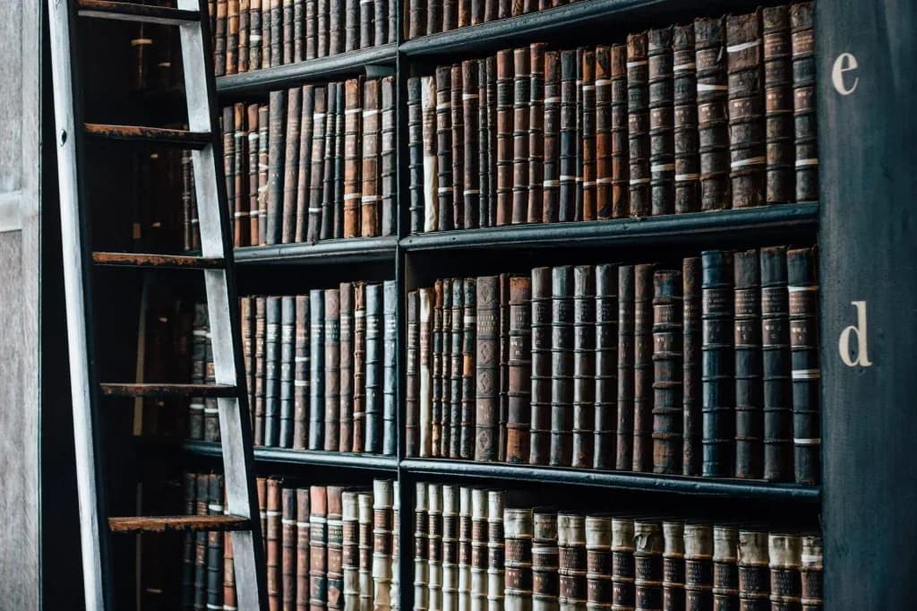 Coverage Issues and Litigation